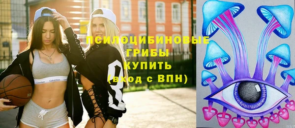 первитин Осинники