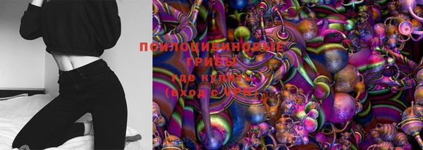 ПСИЛОЦИБИНОВЫЕ ГРИБЫ Алексин