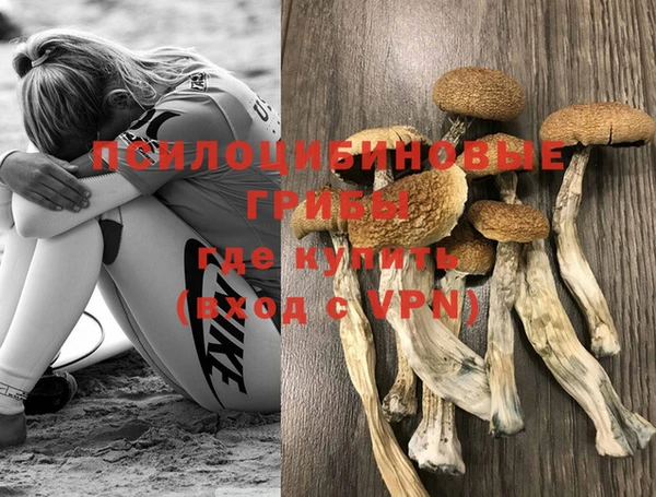 ПСИЛОЦИБИНОВЫЕ ГРИБЫ Алексин