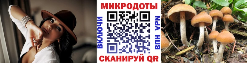 купить закладку  Полевской  площадка наркотические препараты  Галлюциногенные грибы Cubensis  гидра сайт 